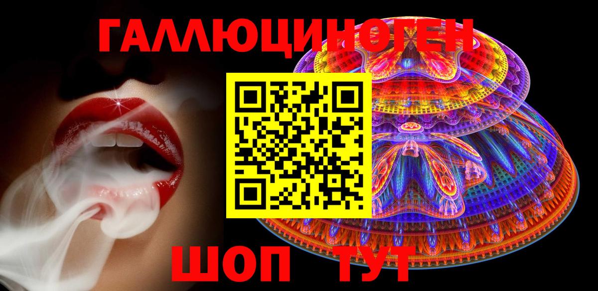 Галлюциногенные грибы Psilocybe Лесосибирск
