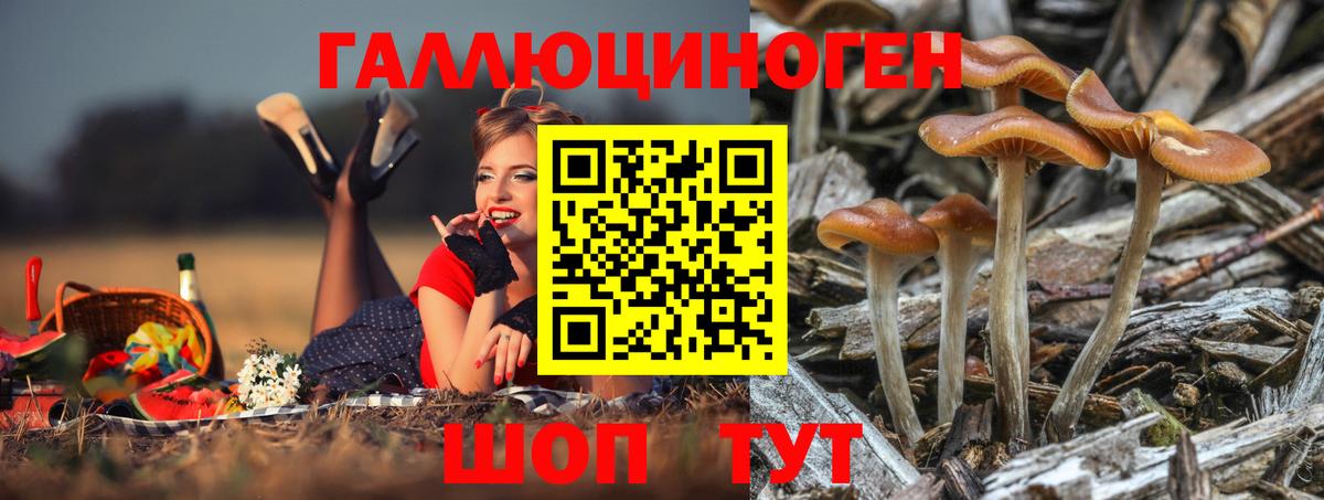 Лесосибирск  Галлюциногенные грибы Cubensis  Вход с VPN 